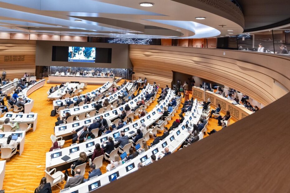WHO / Pierre Albouy A meeting of Committee B on 29 May 2024 at the Seventy-seventh World Health Assembly in Geneva, Switzerland.